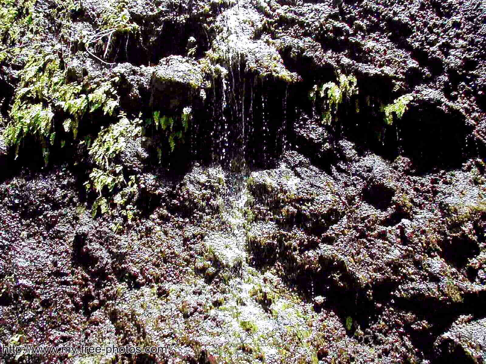 Tenerife ravine