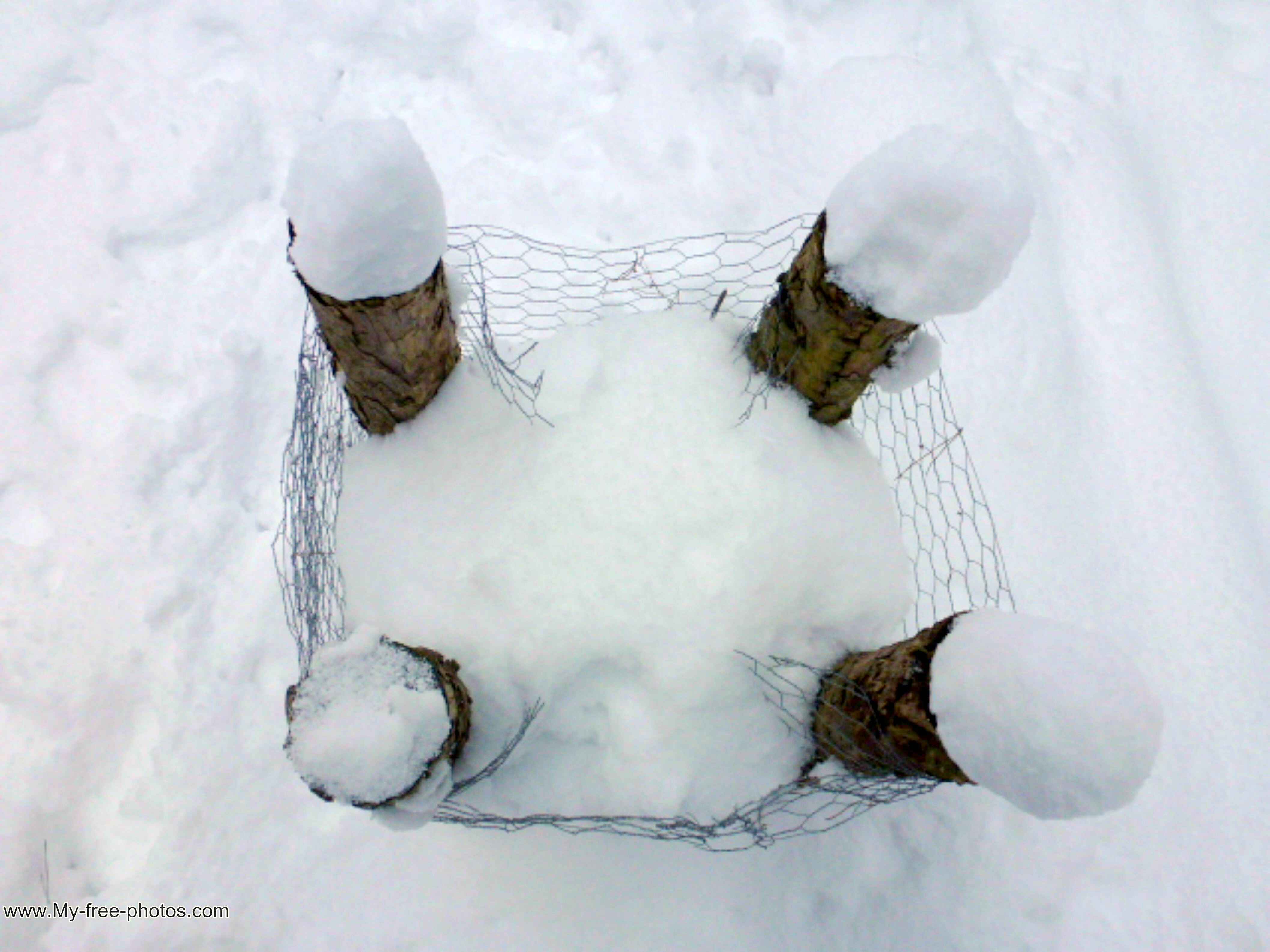 basket in snow