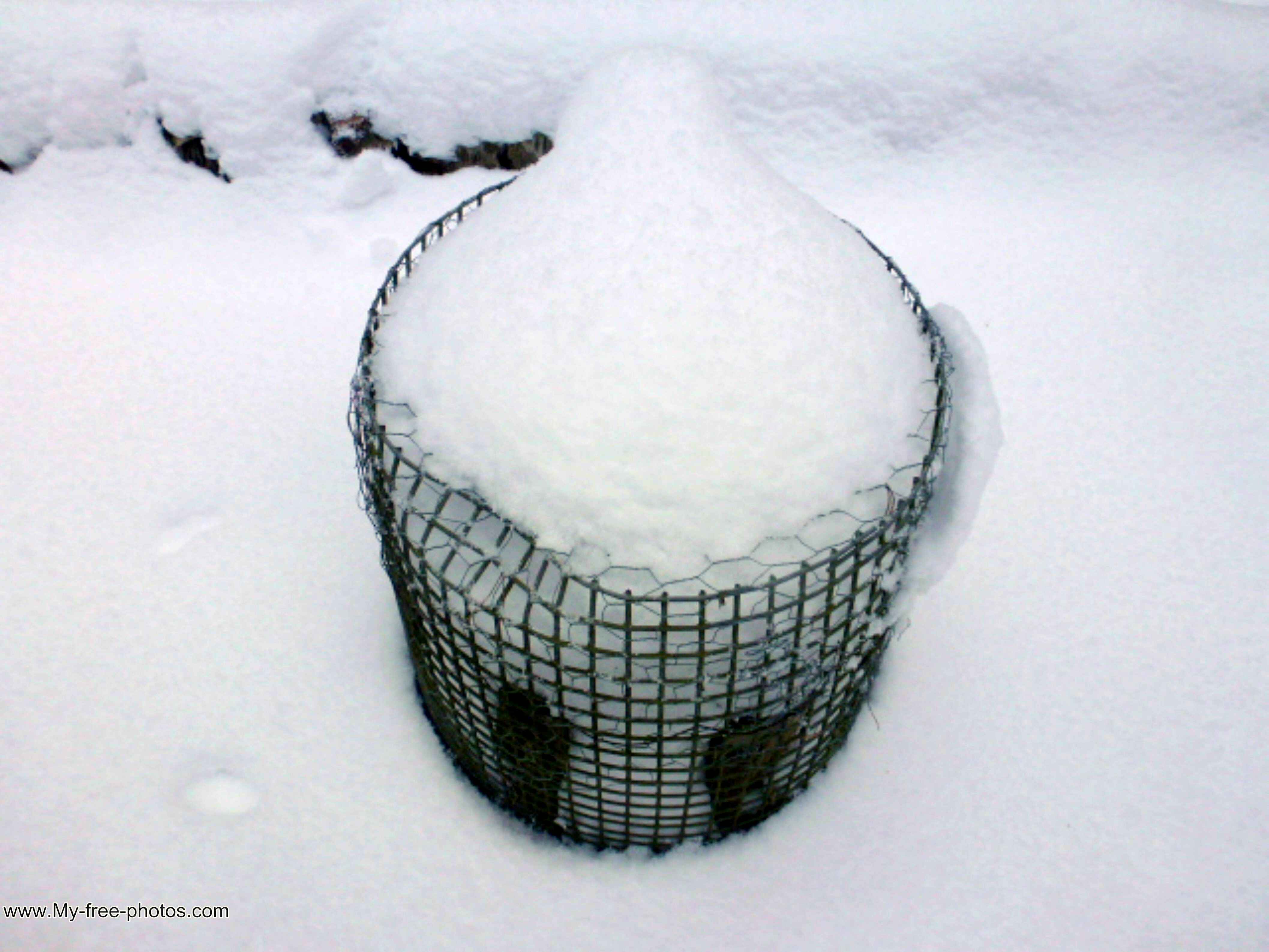 basket in snow