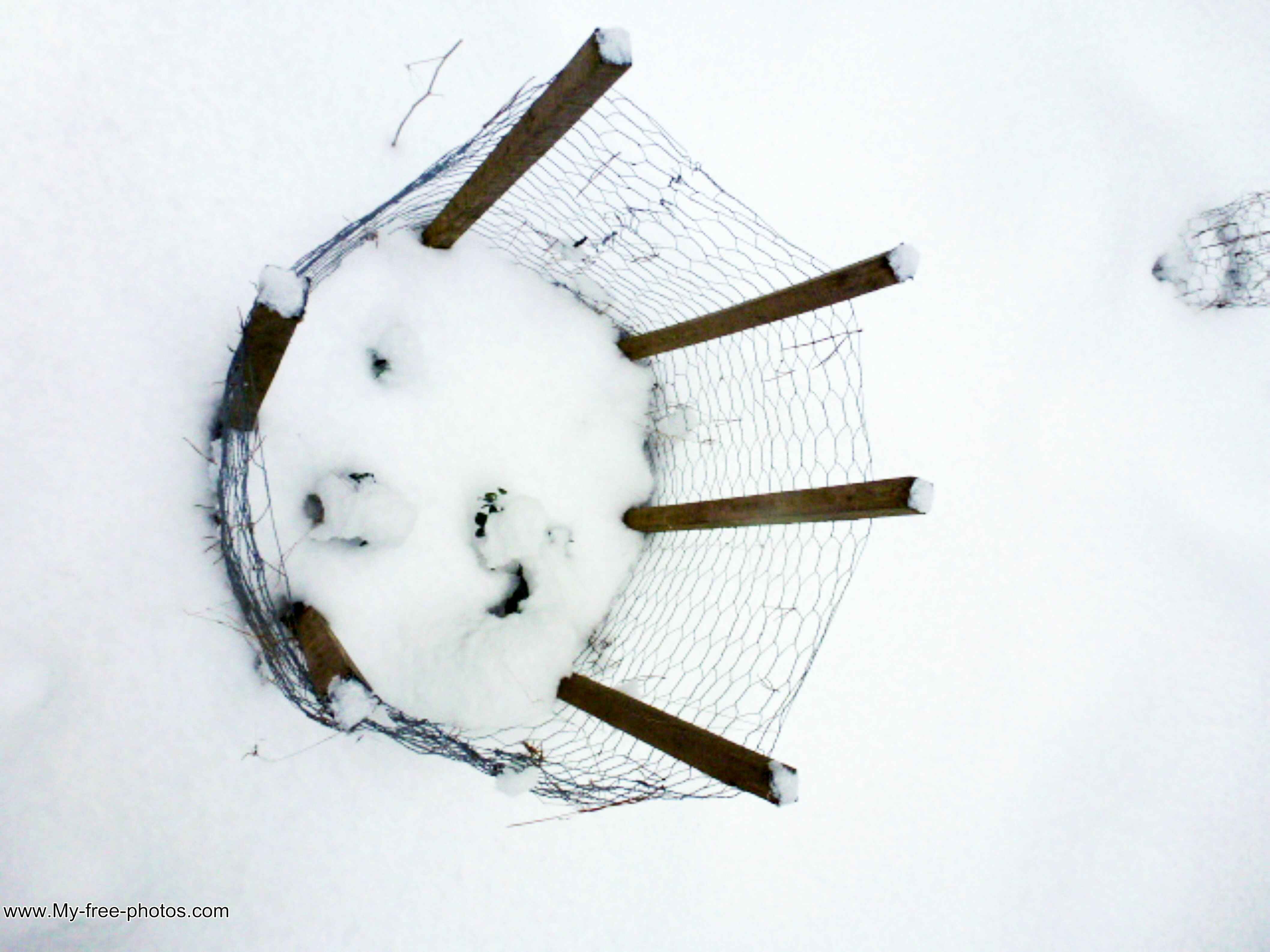 Metal Basket in the Snow