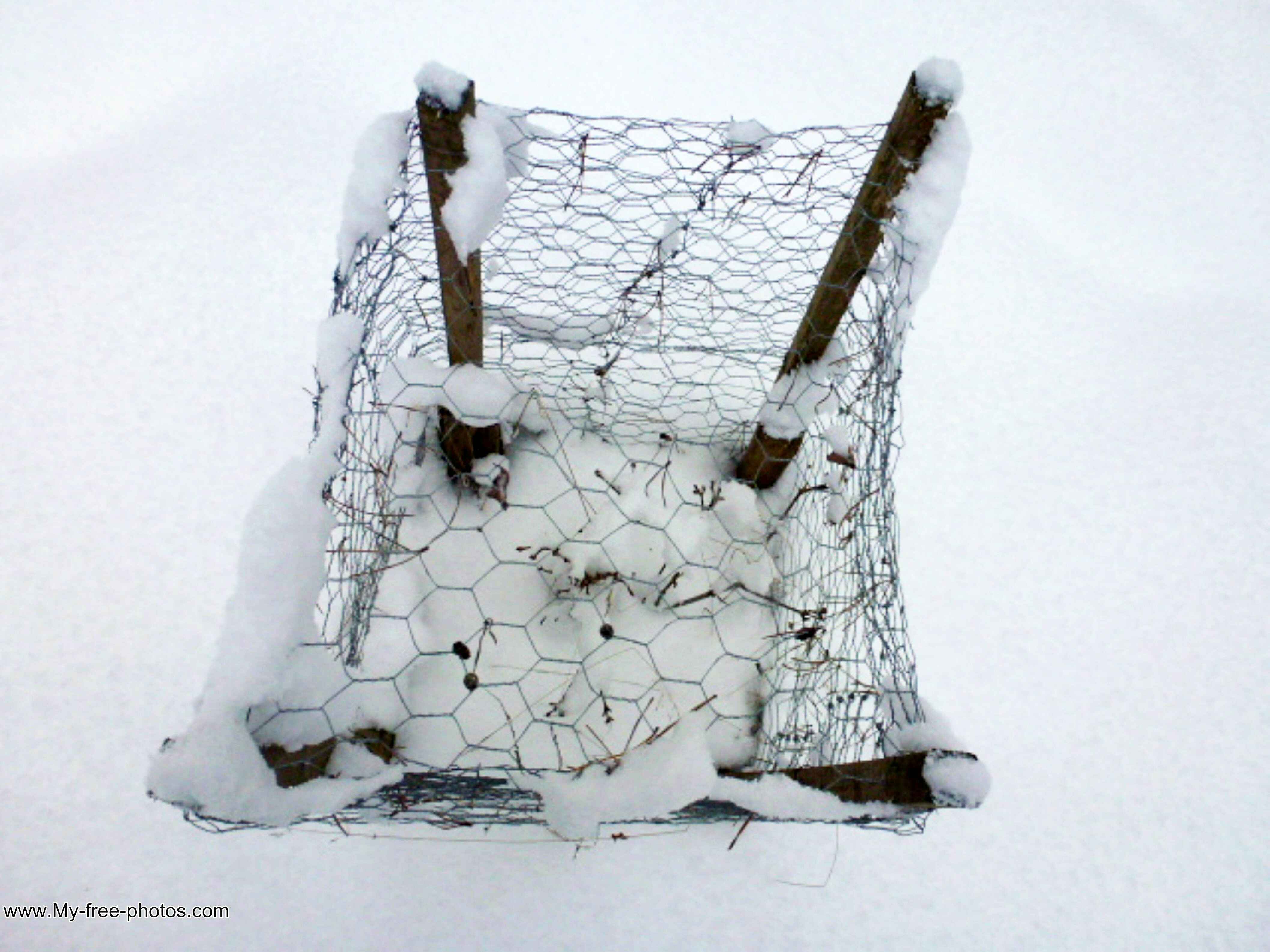 Metal Basket in the Snow