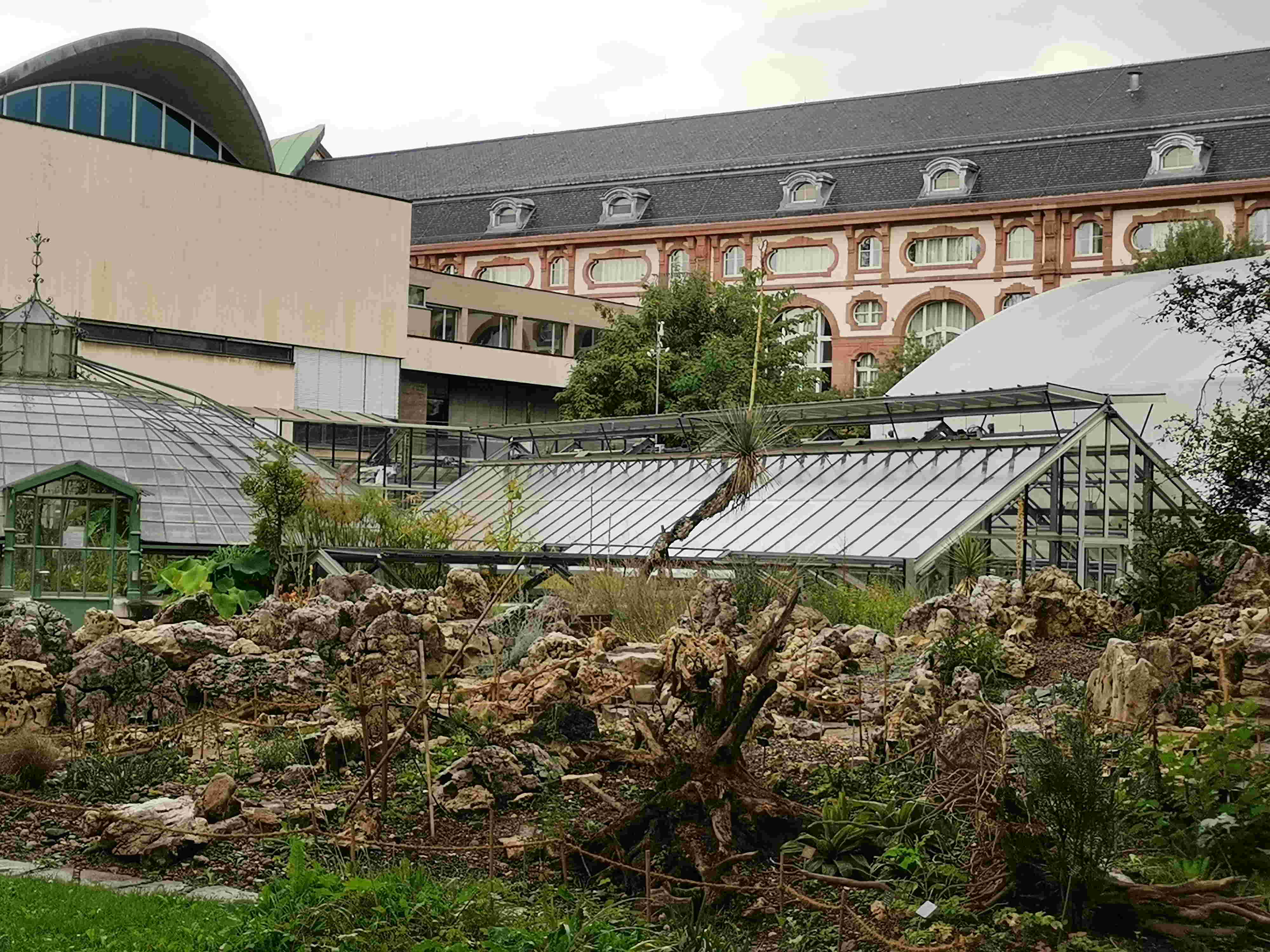 Basel Botanical Garden