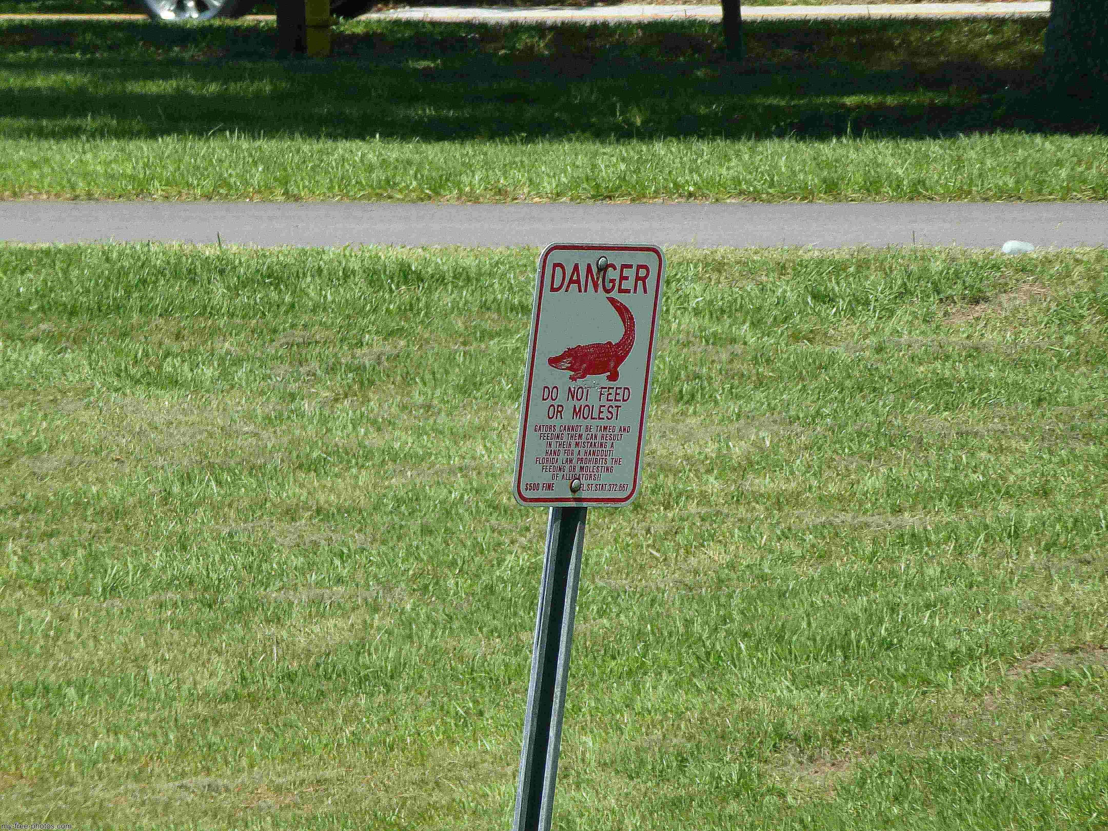 No Feeding the Gator