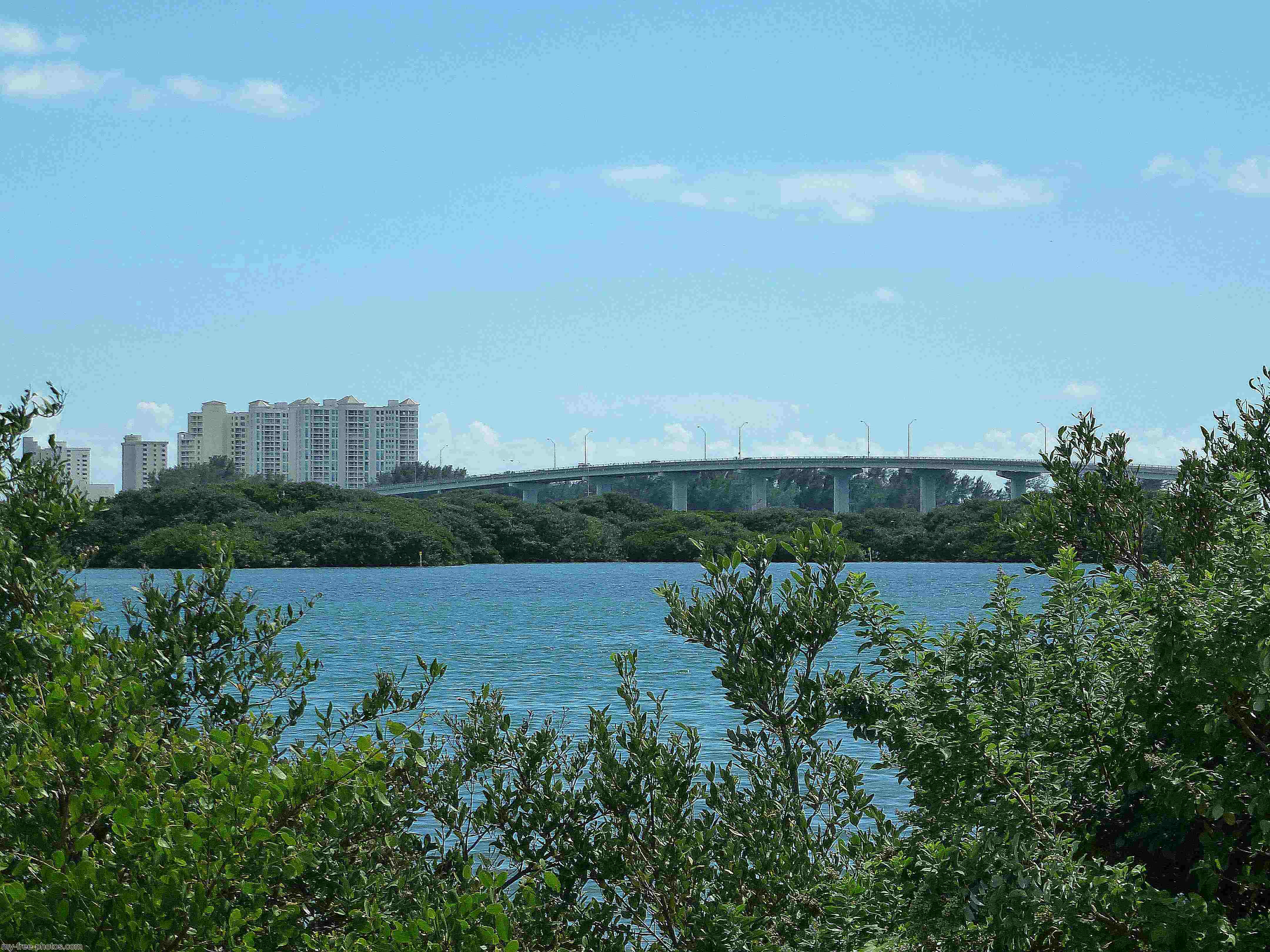 Sand Key,clearwater beach, Fl