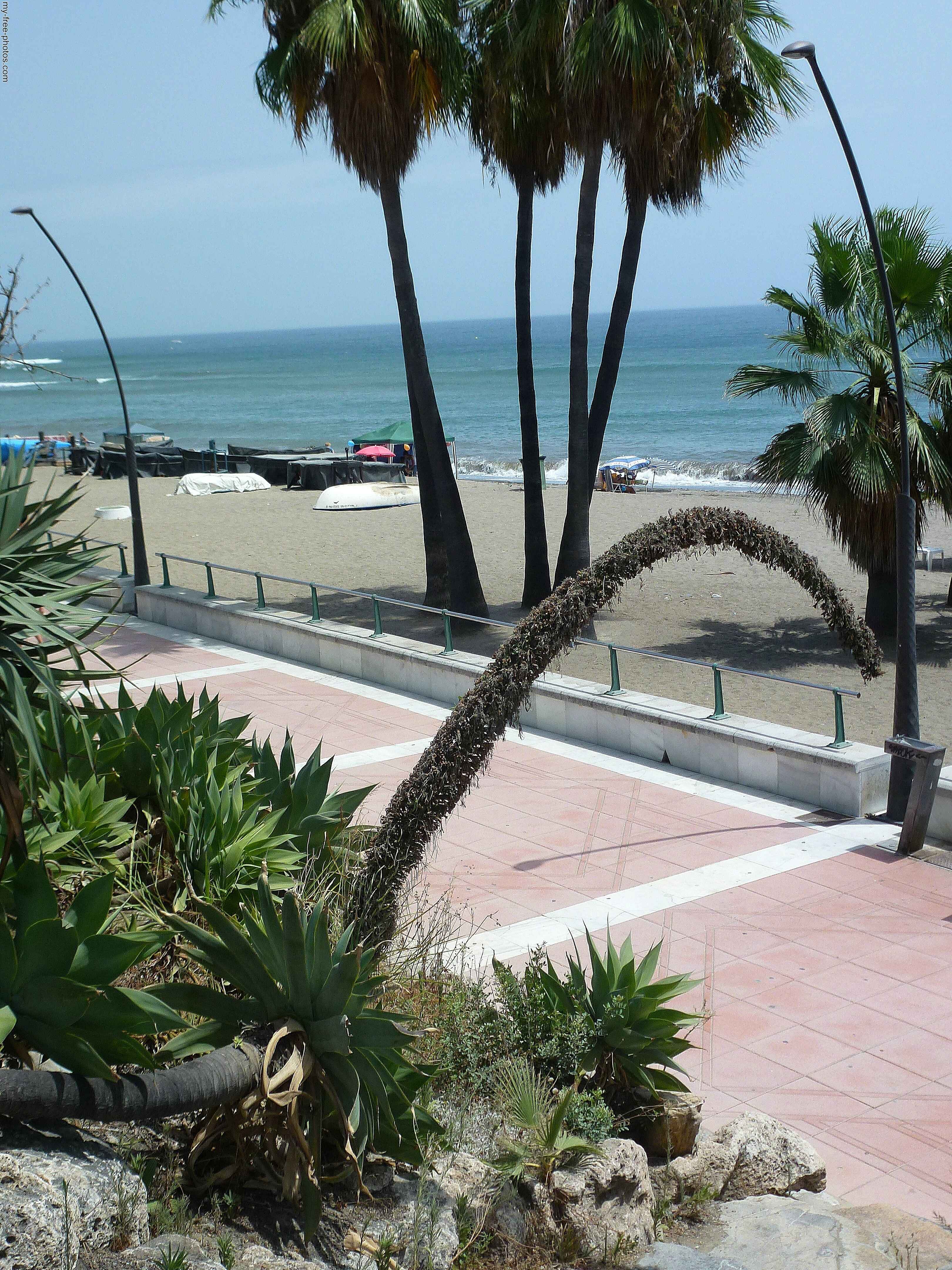 Flowers along Estepona beach, Spain