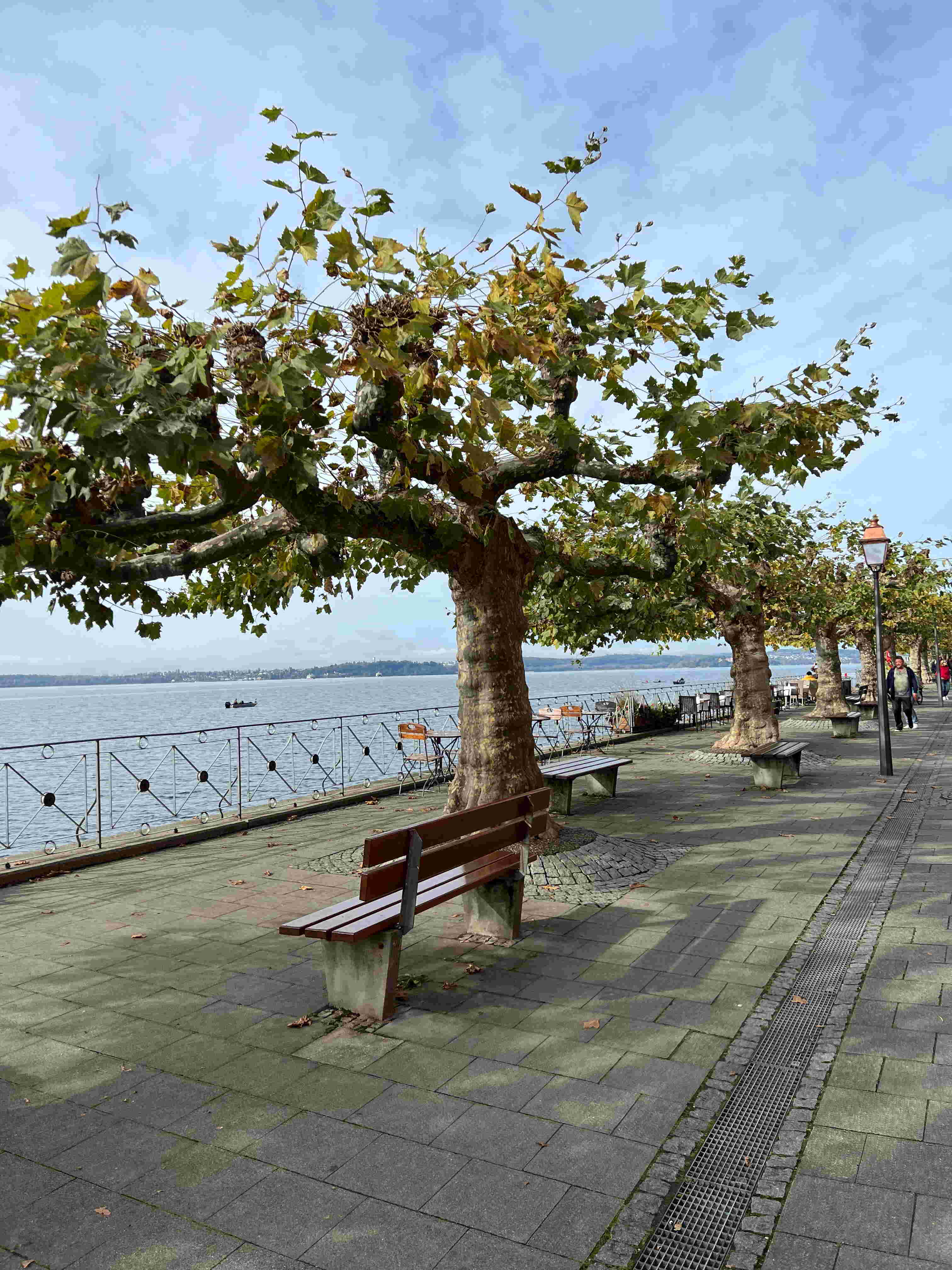 Meersburg promenade