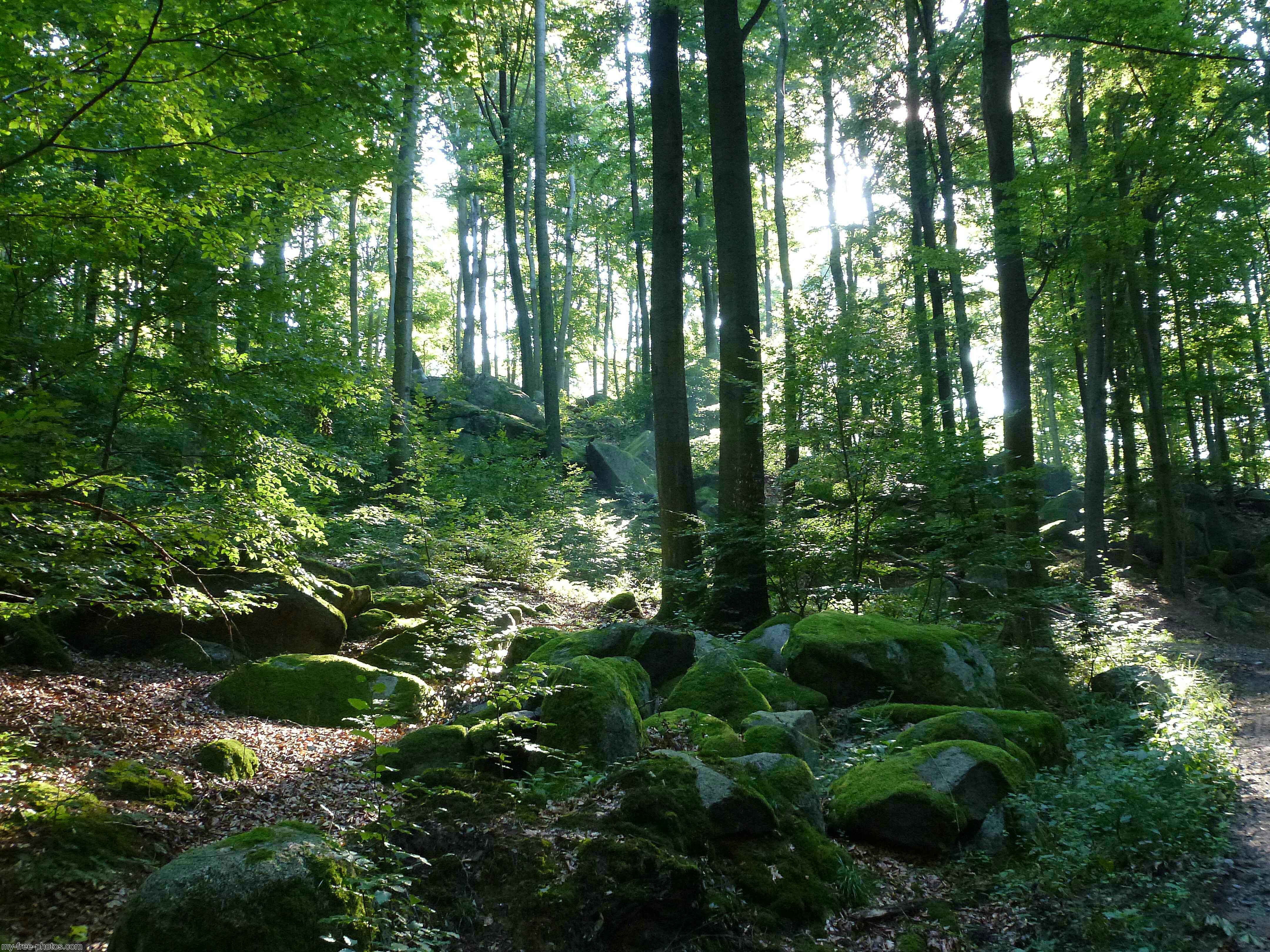 Felsenmeer, Germany