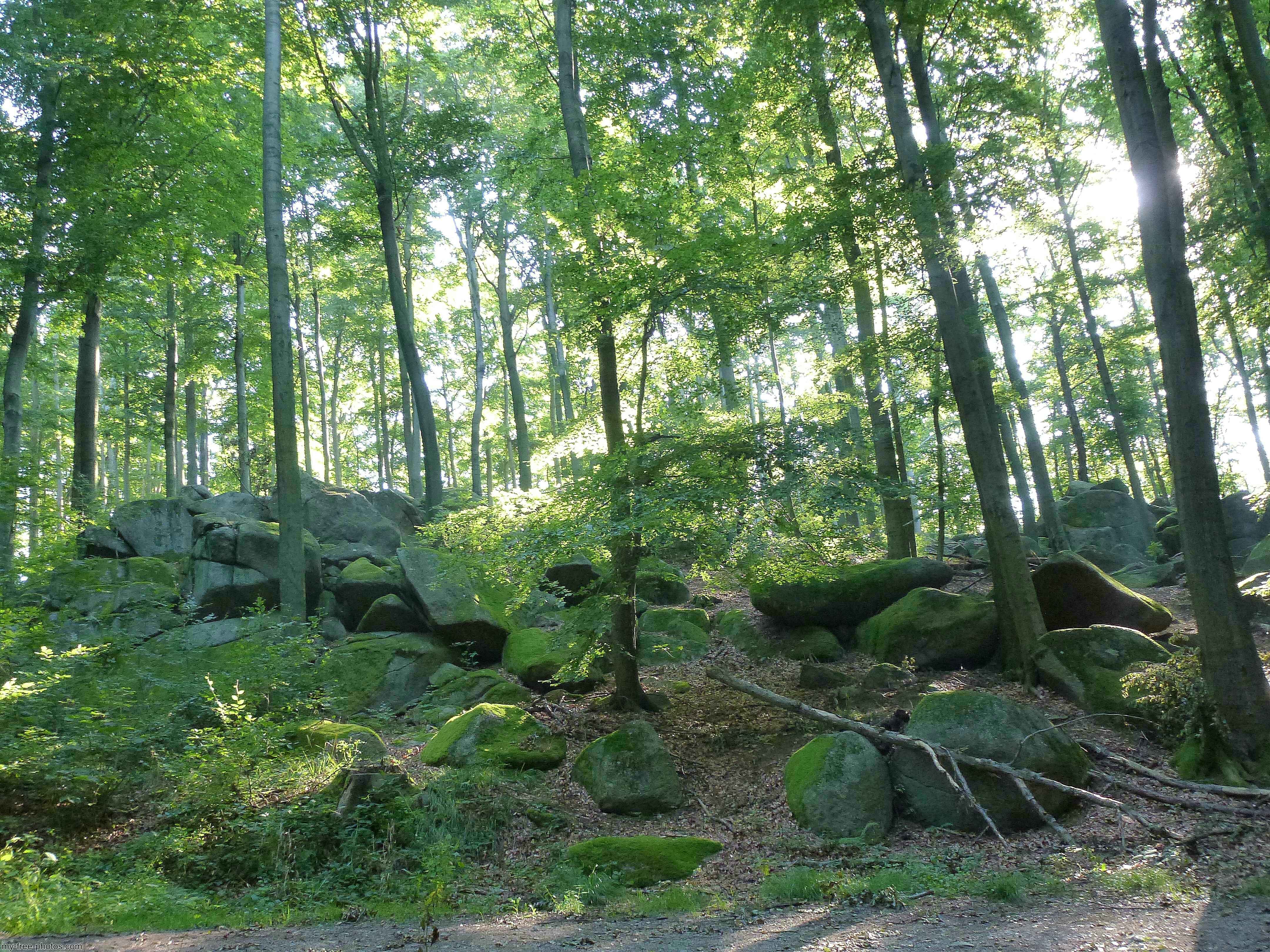 Felsenmeer, Germany