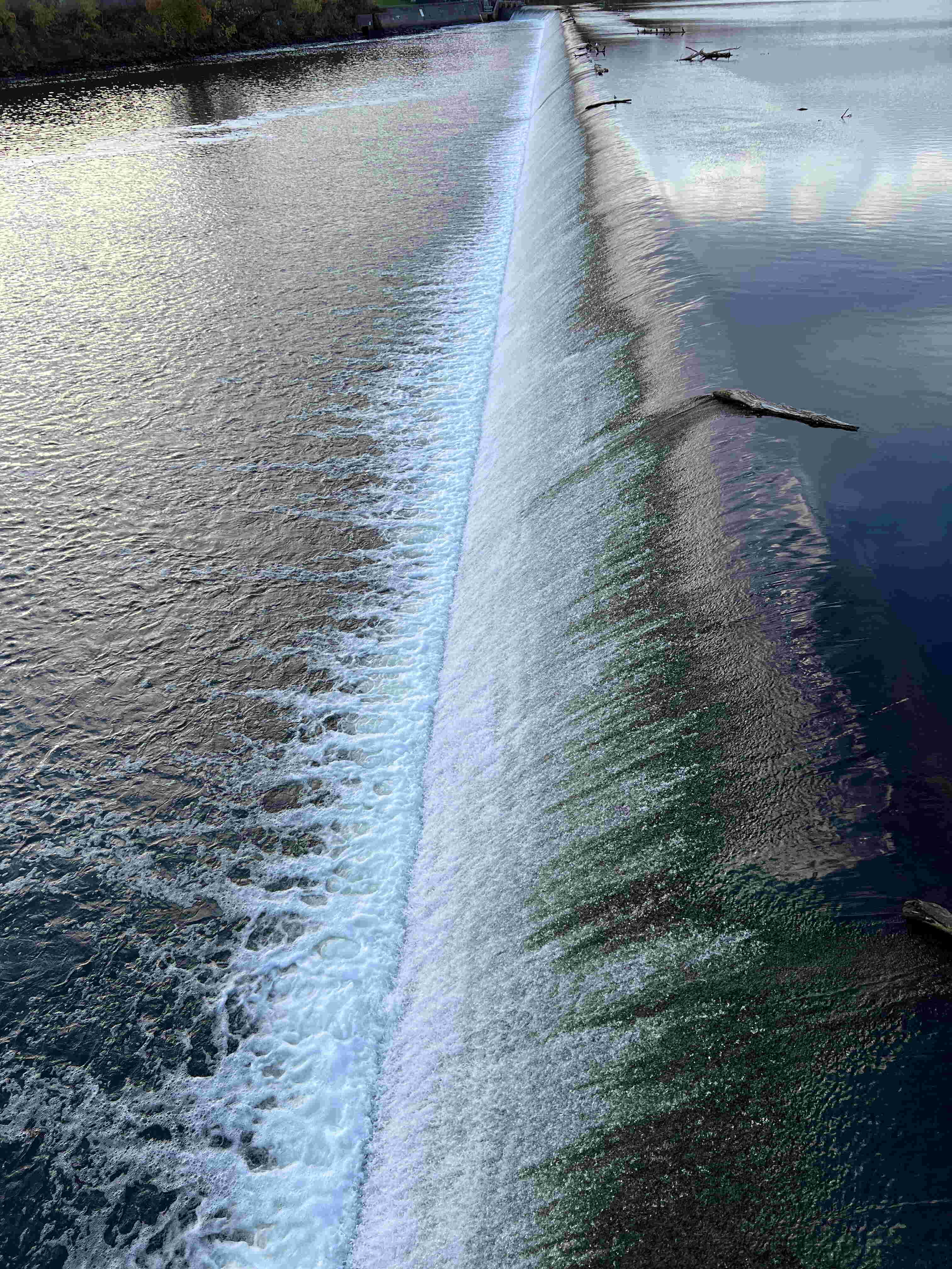  Philadelphia fish ladder