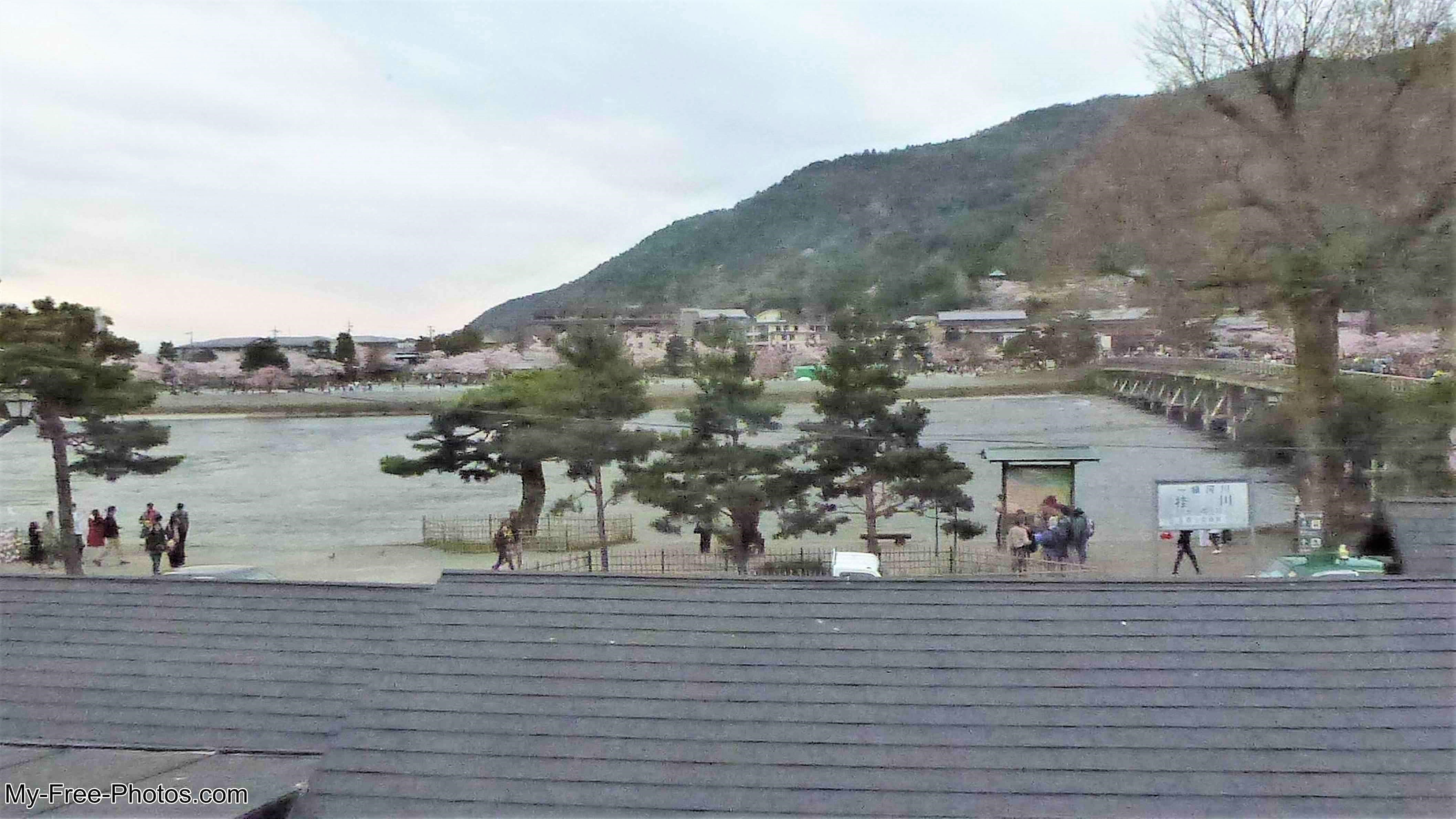 Bamboo Forest in Arashiyama