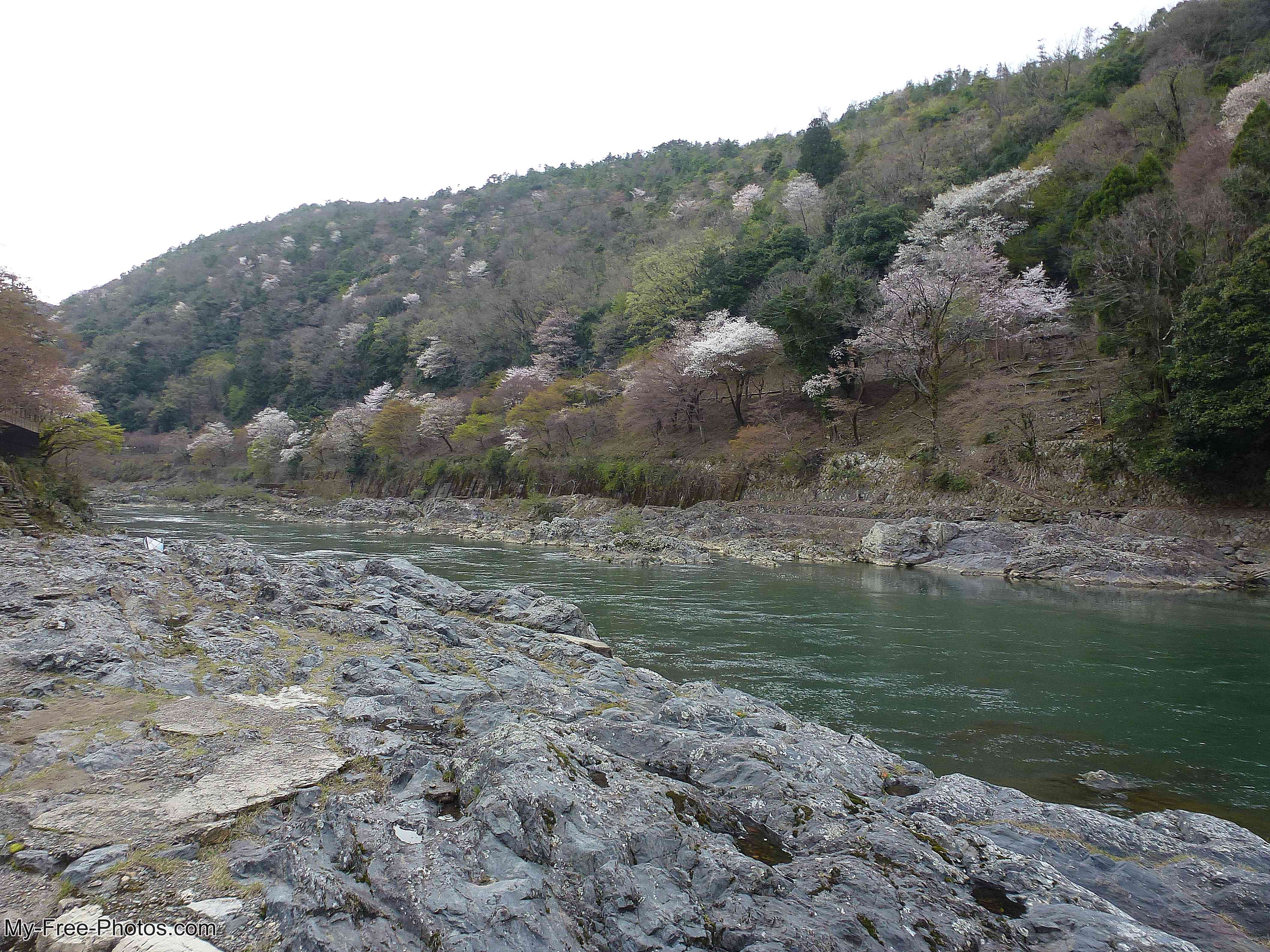 Bamboo Forest in Arashiyama