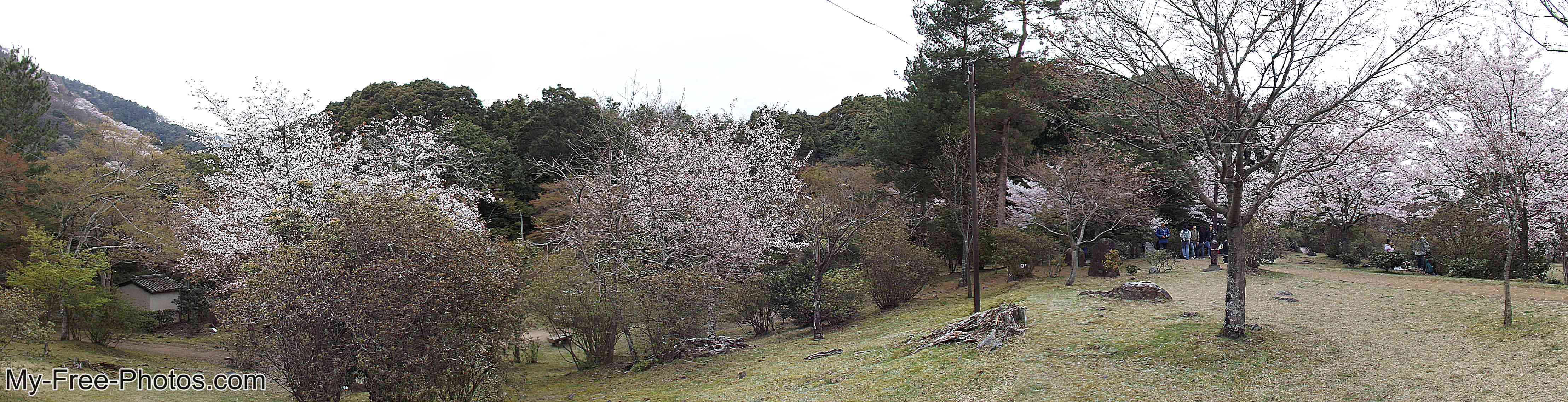 Sagatenryuji Tsukurimichicho